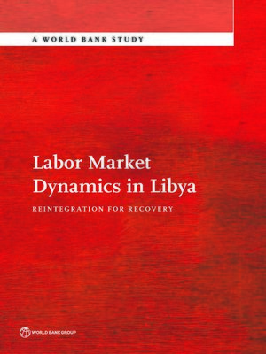 cover image of Labor Market Dynamics in Libya